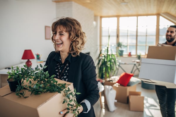 Moving into your new home, a tenants guide